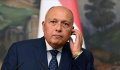 Глава МИД Египта отметил глубокие отношения между Каиром и Москвой